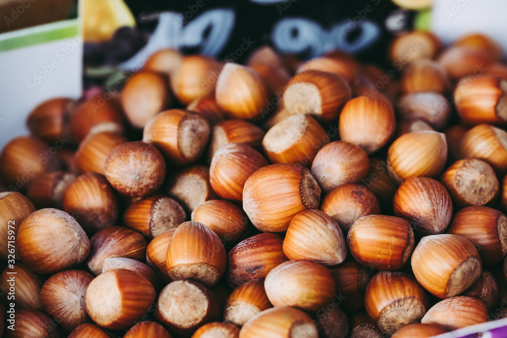 Récolte de noisettes dans un panier Récolte de noisettes dans un panier