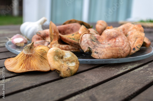 Plate of appetizing mushrooms accompanied by vegetables with garlic