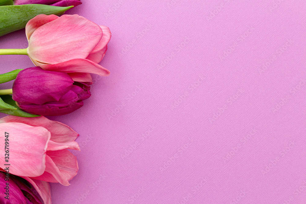 tulips on a pink spring background.