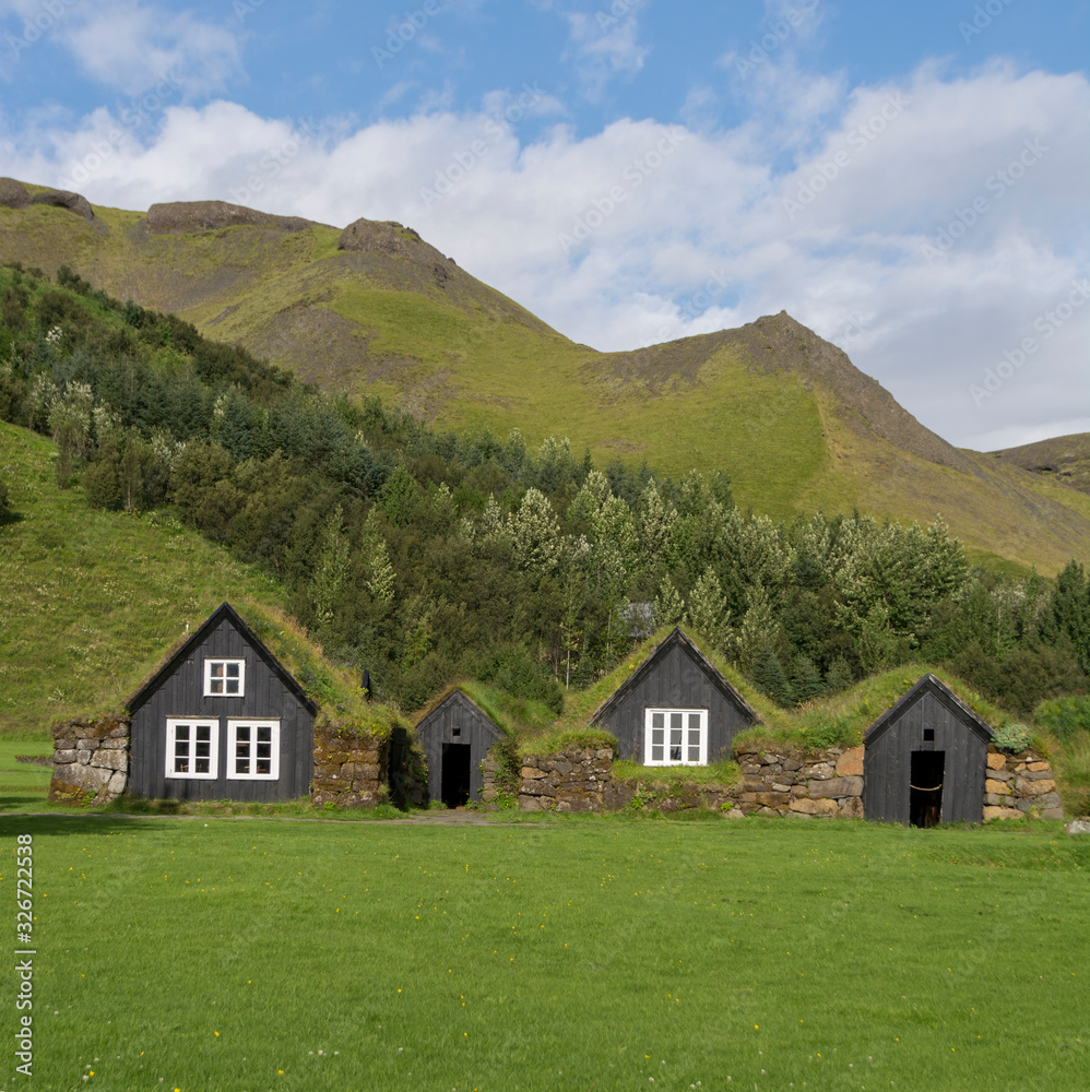 Typical Icelandic black  houses with a grass roof on a background of a green meadow.