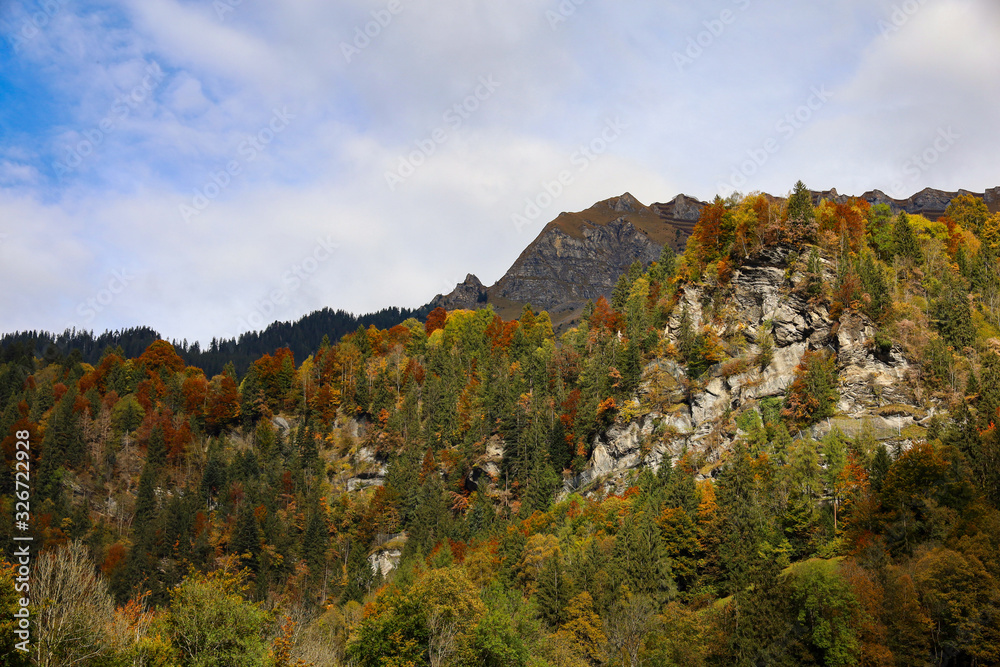 View of landscape forest on the mountain in autumn season at Switzerland for nature landscape background View of landscape forest on the mountain in autumn season at Switzerland for nature landscape background