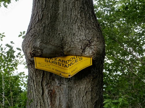 Hazardous Substances sign ingrown in tree trunk