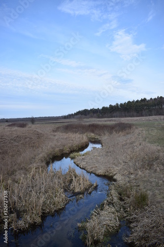 Fototapeta Naklejka Na Ścianę i Meble -  Landscape photo depicting river and forest.