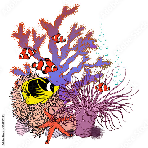 Underwater scenery with colorful corals, sea anemones and tropical fishes.
