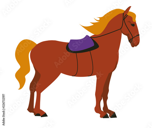 Equestrian  derby sport flat hand drawn color illustration. Stallion. Equestrianism. Racehorse hand drawn clipart. Horse racing competition.Professional jockeys  riders. Hippodrome  isolated.