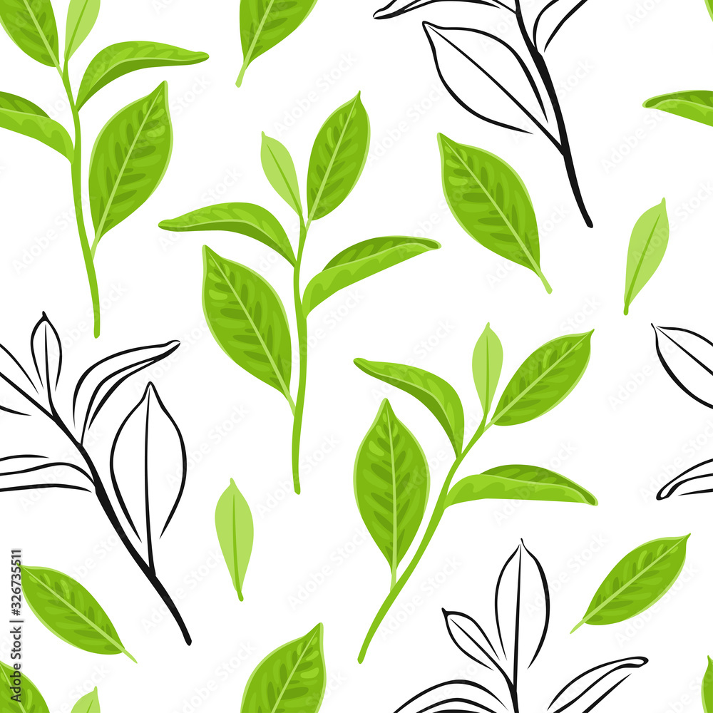 Green tea leaves seamless pattern. Vector color illustration of Green tea branches on white background. Black and white outline. Fresh green plant.