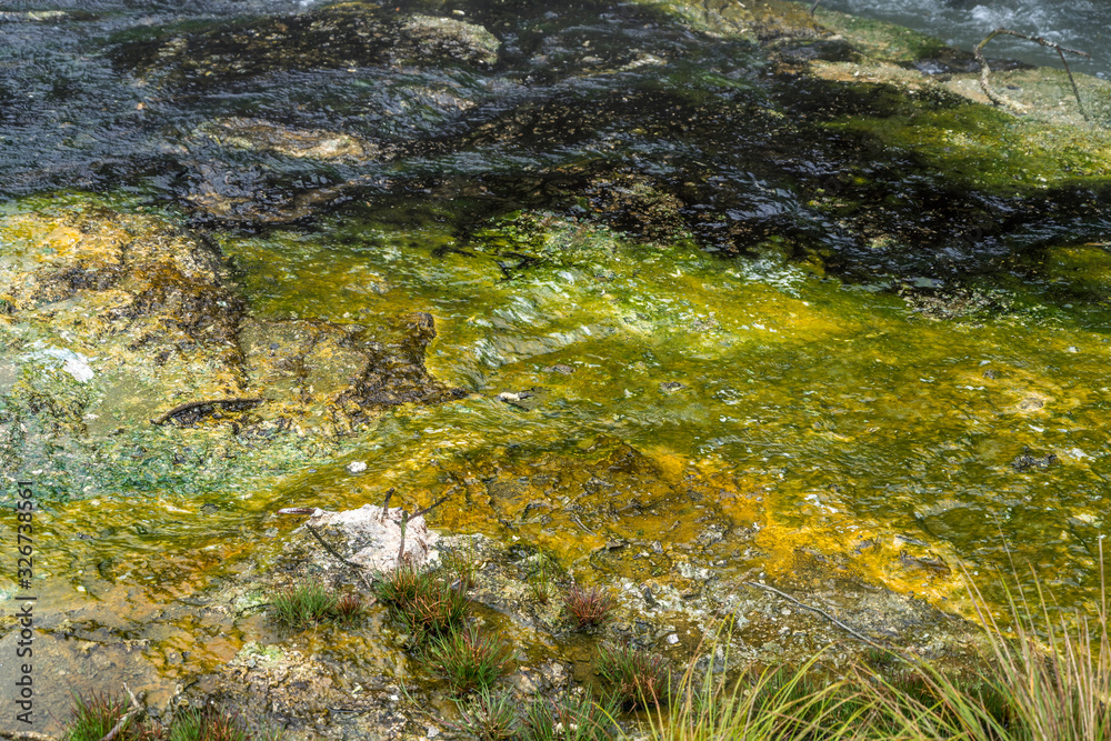 yellow and green crusted colored mineral sediments at Waimangu valley park, Rotorua, New Zealand