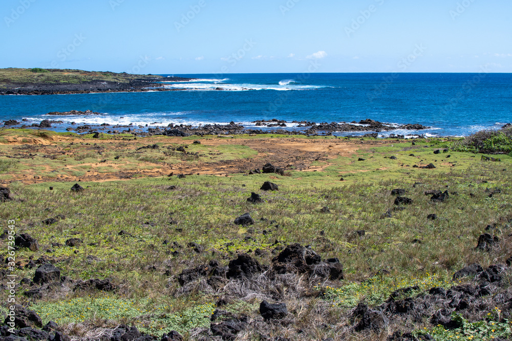 Green sand beach trail along the coastline in Big Island Hawaii