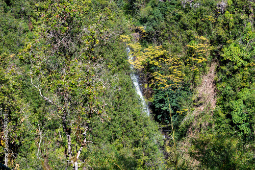 Kahuna Falls and dense tropical vegetation at the Akaka Falls State Park Big Island Hawaii. photo