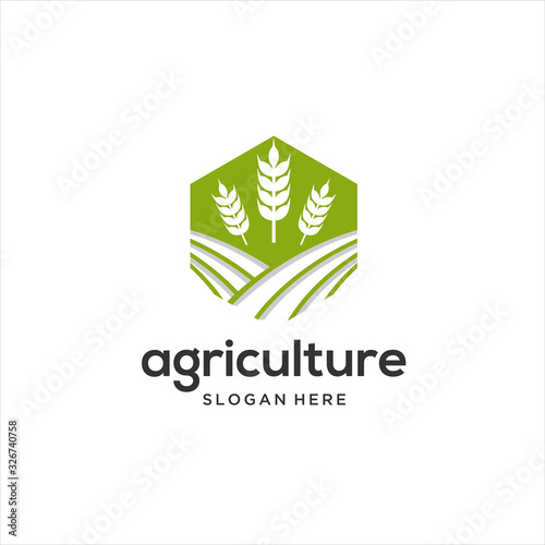 agriculture business, tractor farm, soil farm, crop field, pasture, milk, barn,  G