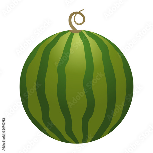 Vector whole watermelon. Vector illustration gradient fill isolated on white background, cartoon logo and icon. Concept of healthy lifestyle and ripe fruits