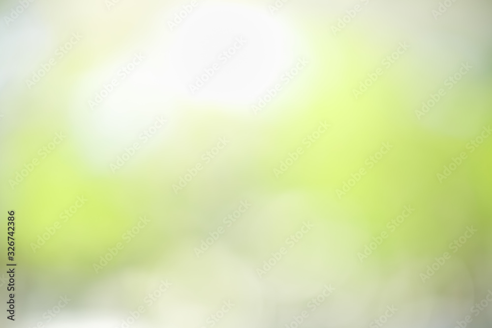 Abstract blurred out of focus and blurred green leaf nature background under sunlight with bokeh and copy space using as background natural plants landscape, ecology wallpaper concept. Abstract blurred out of focus and blurred green leaf nature background under sunlight with bokeh and copy space using as background natural plants landscape, ecology wallpaper concept.