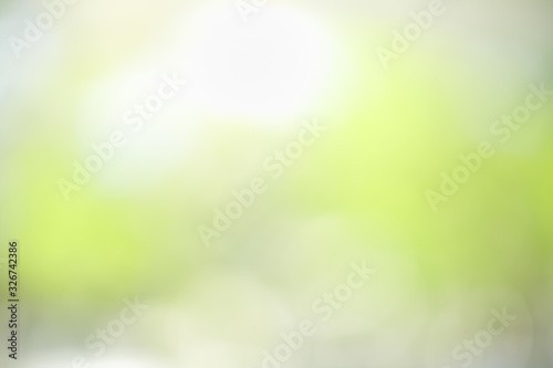 Abstract blurred out of focus and blurred green leaf nature background under sunlight with bokeh and copy space using as background natural plants landscape, ecology wallpaper concept.