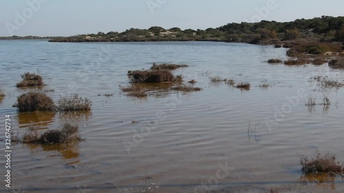 La brisa mueve el agua de las lagunas salinas del humedal de la Reserva natural de  Punta Entinas photo