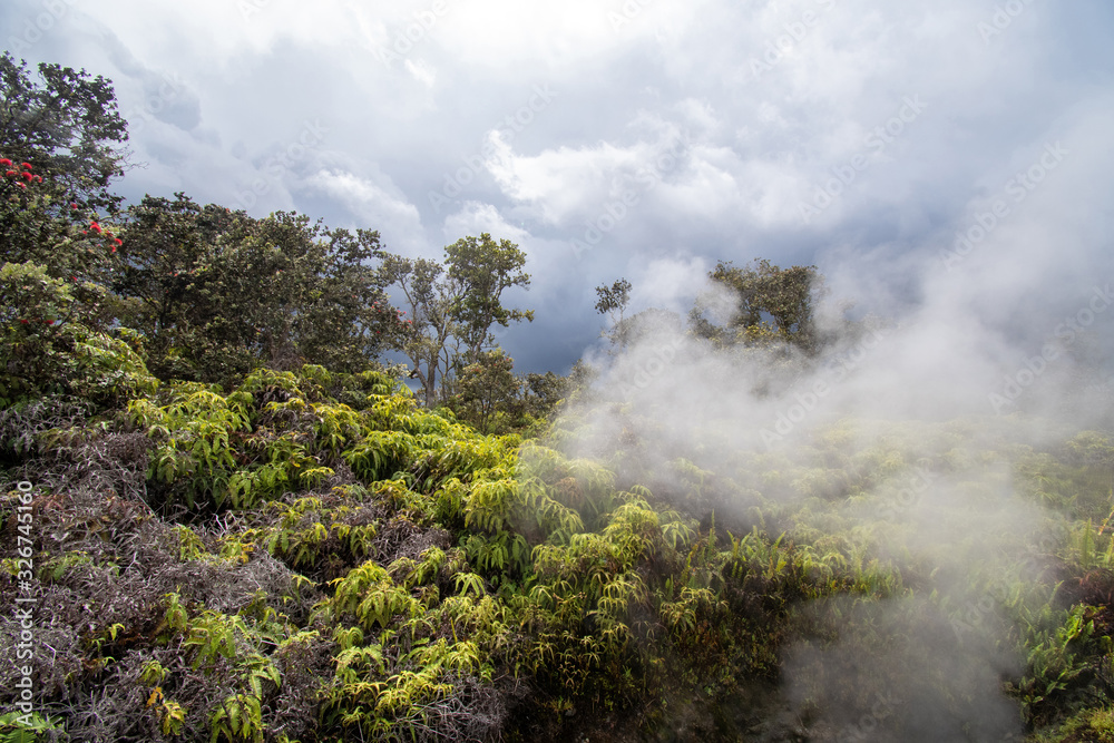 Volcano steam vents in the background in Big Island Hawaii