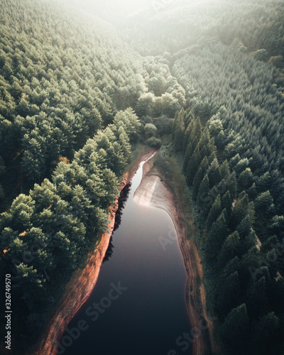 Aerial view of forest and lake 