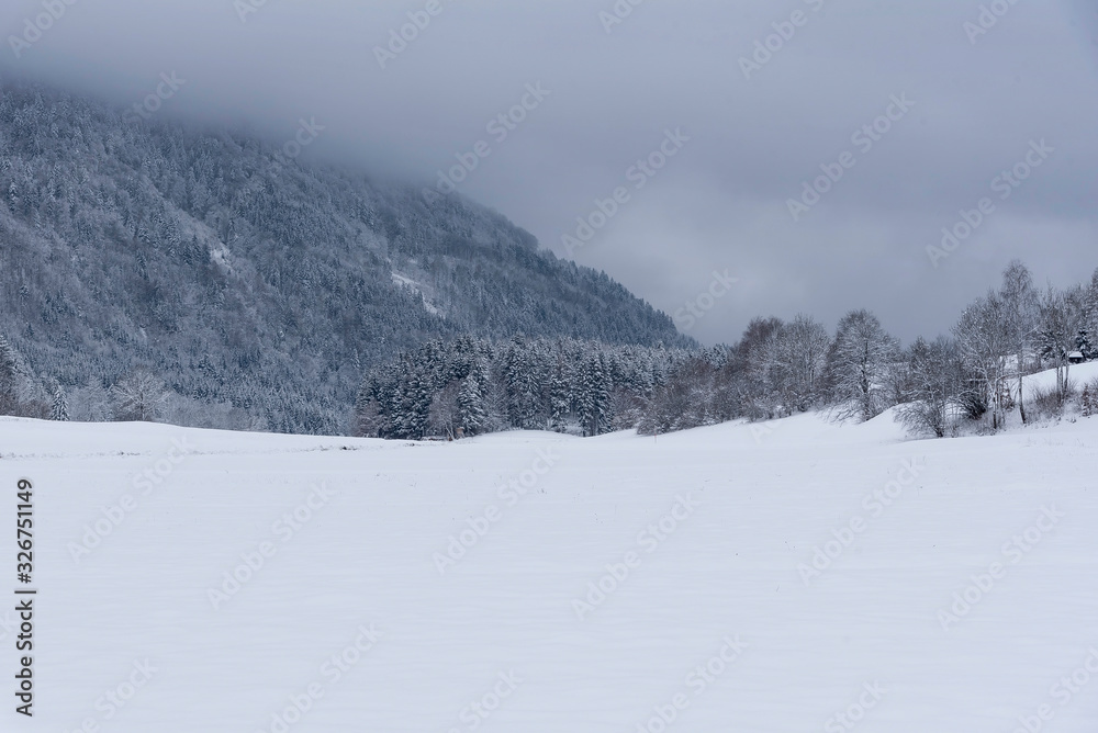 Obraz premium Winter in Kranjska Gora