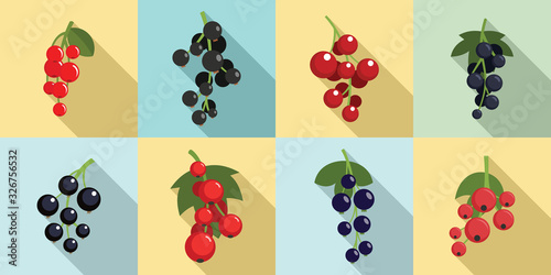 Currant berry icons set. Flat set of currant berry vector icons for web design