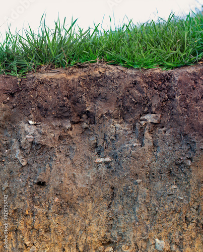 Fototapeta Naklejka Na Ścianę i Meble -  Topsoil of a Stagnosol at a cliff near Heiligenhafen at the baltic sea