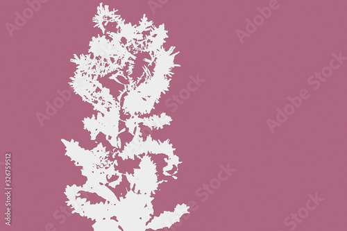 Pink abstract background.Flower pattern for Wallpaper.