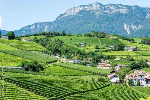 Vineyards in Frangart village in South Tyrol, Italy © Alizada Studios