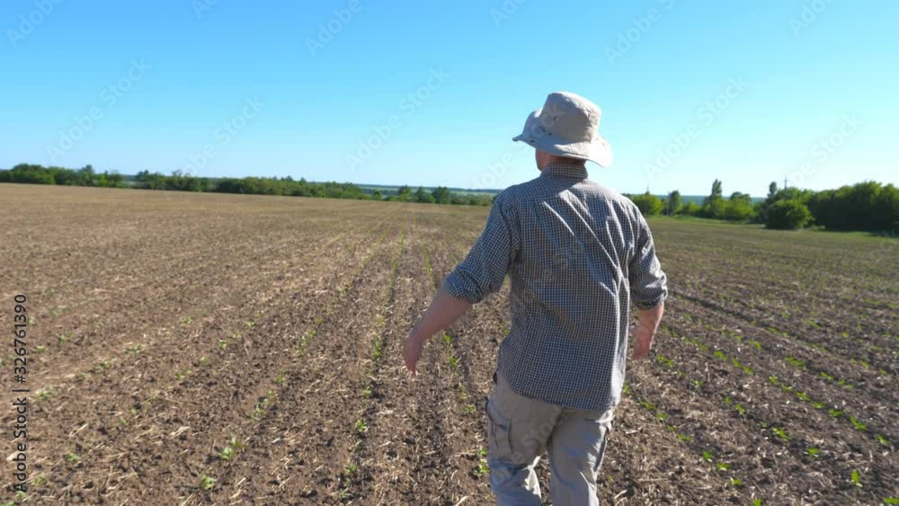 Follow to disappointed man going on meadow and talking about threat of a crop failure due the drought. Young male farmer walking through the small green sprouts on the field. Rear back view Close up Follow to disappointed man going on meadow and talking about threat of a crop failure due the drought. Young male farmer walking through the small green sprouts on the field. Rear back view Close up