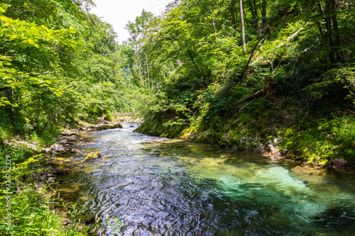 Landscape in Vintgar Gorge (Soteska Vintgar) near Bled town in Slovenia.