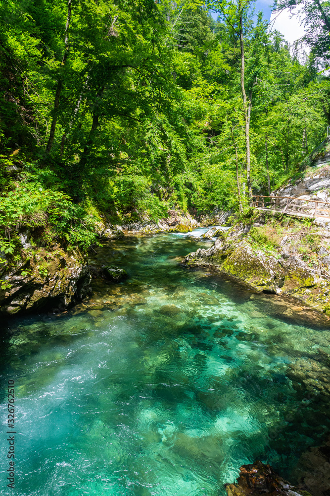 Landscape in Vintgar Gorge (Soteska Vintgar) near Bled town in Slovenia. Landscape in Vintgar Gorge (Soteska Vintgar) near Bled town in Slovenia.