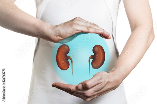 Image of a woman in a white dress and 3d model of the kidneys between her hands. Concept of healthy kidneys and  organ donation.
