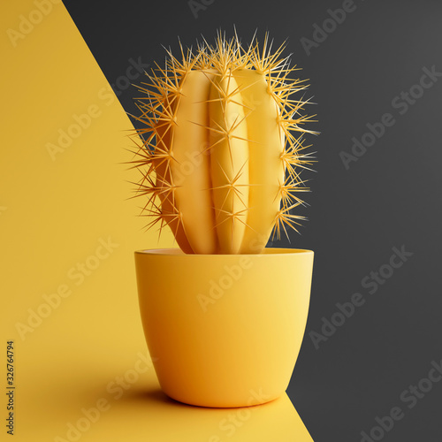 3D Render. Minimal cactus isolated in studio shot.