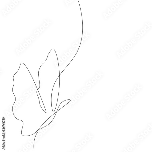 Butterfly fly, line drawing design vector illustration