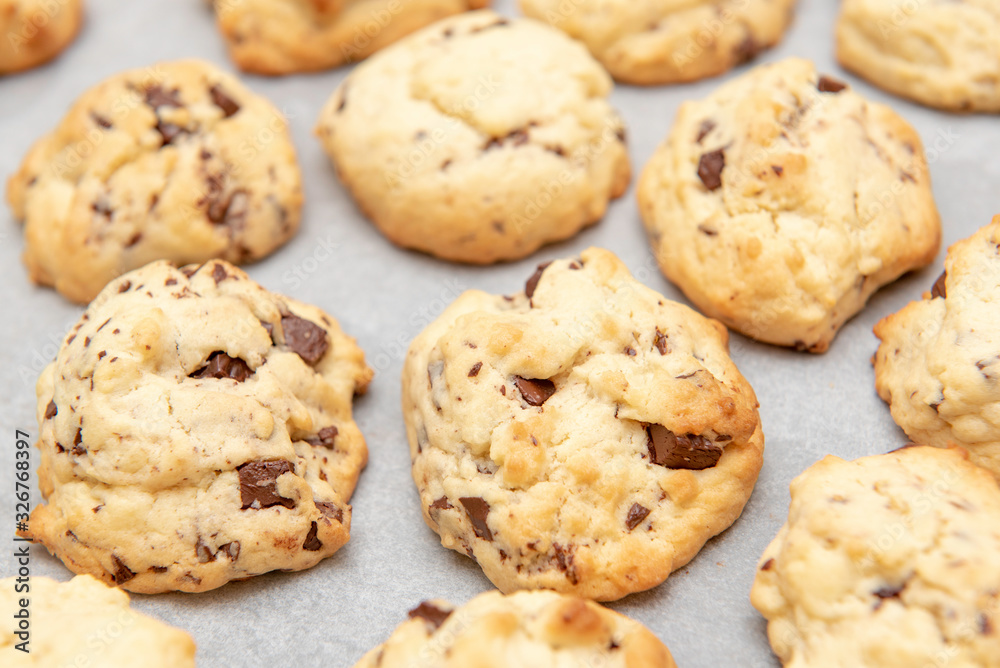 white cookies with pieces of chocolate on white backing paper white cookies with pieces of chocolate on white backing paper