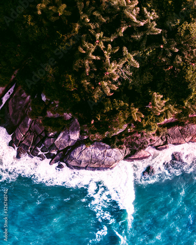 Tree, Rocks and Water. Bird Eye View photo