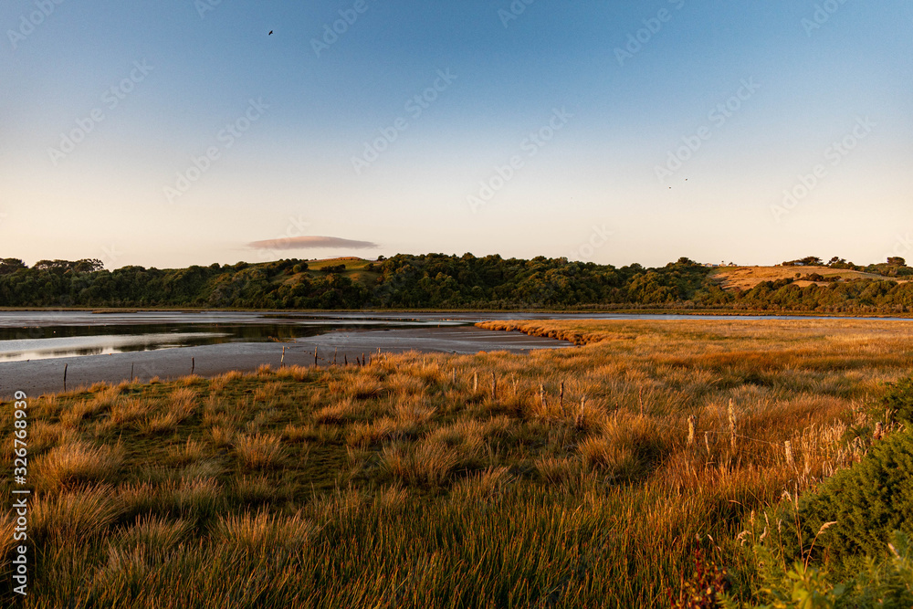 Wetland landscape on sunset at Chiloe Island, Chile Wetland landscape on sunset at Chiloe Island, Chile