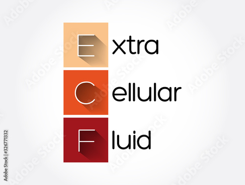 ECF - Extracellular fluid acronym, medical concept background