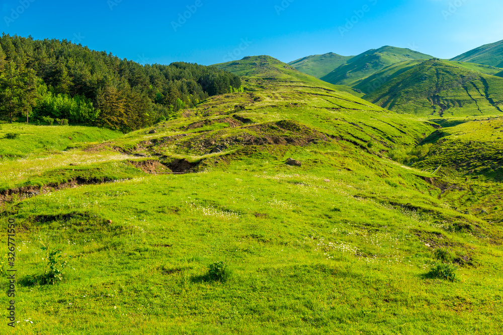 Green pastures on the slopes of the Caucasus Mountains in June, the landscape of Armenia
