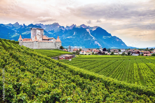 Aigle, Vaud / Switzerland - August 8th, 2008: Vineyards surrounding the Aigle Castle (Chateau d'Aigle) 