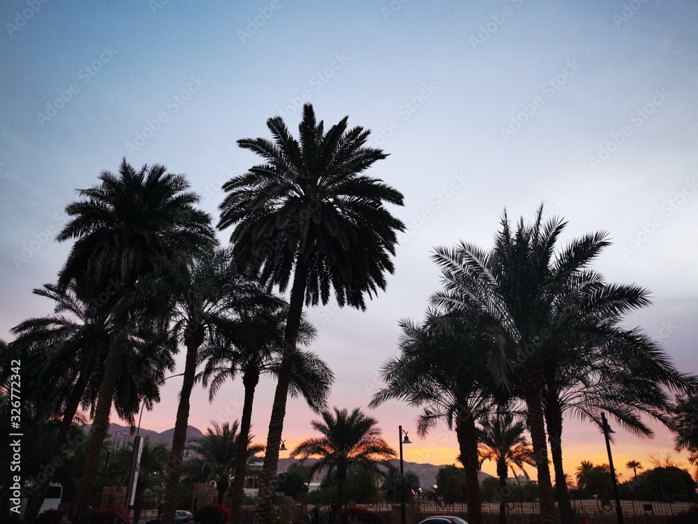 Obraz premium Jordan , Wadi Rum and Petra 