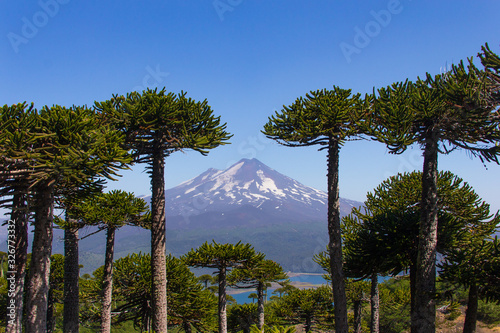 Volcan Llaima  photo