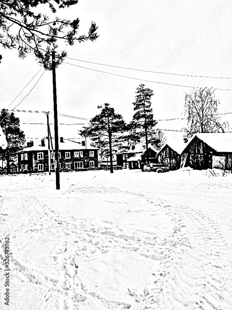 Fototapeta premium winter in the park