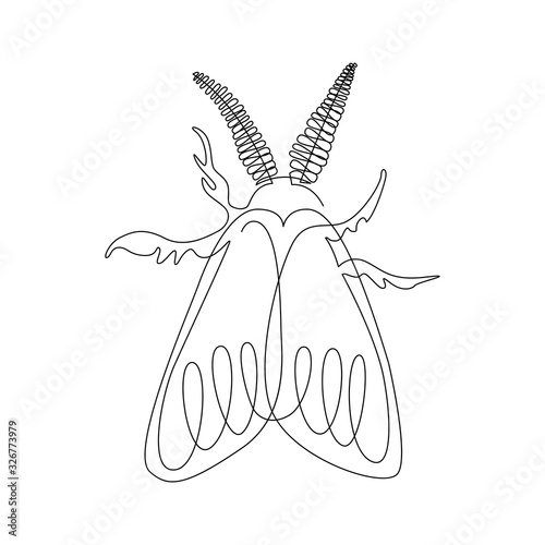 Line art one line butterfly moth for decoration design. Decoration element.