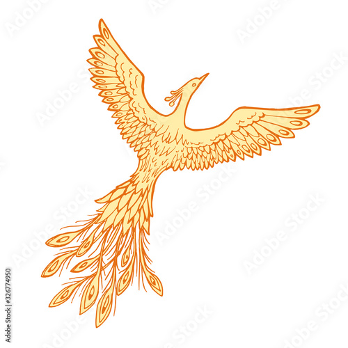 Vector image of a soaring fire bird on a white background