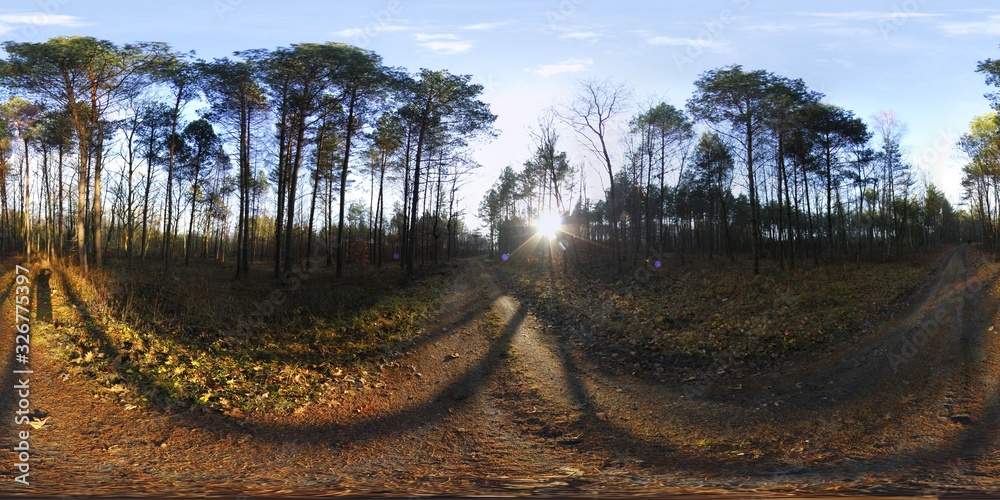 Forest HDRI Panorama Stock Photo | Adobe Stock