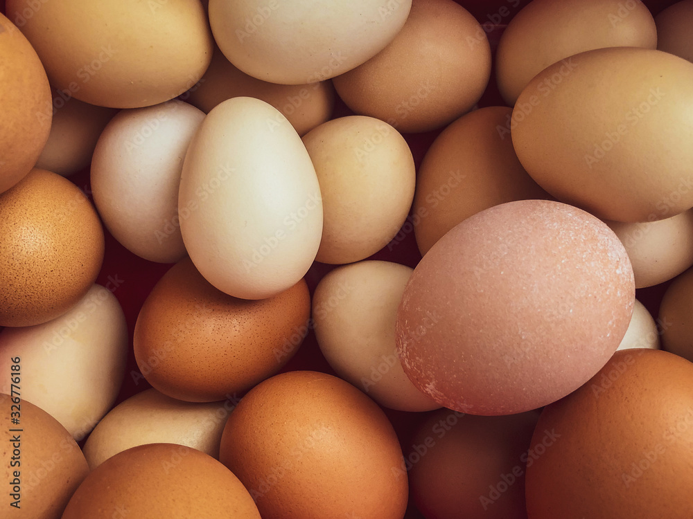 Huevos orgánicos Huevos orgánicos