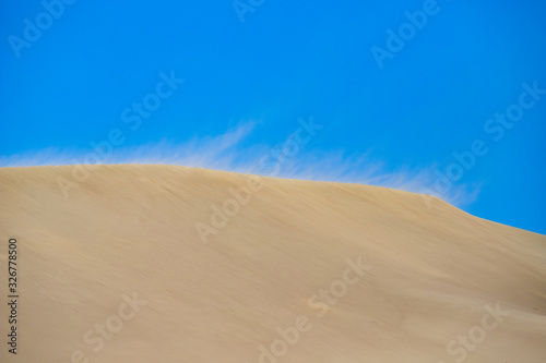desert wind blows sand.sand dunes