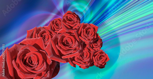 simple design red rose on blue abstract background