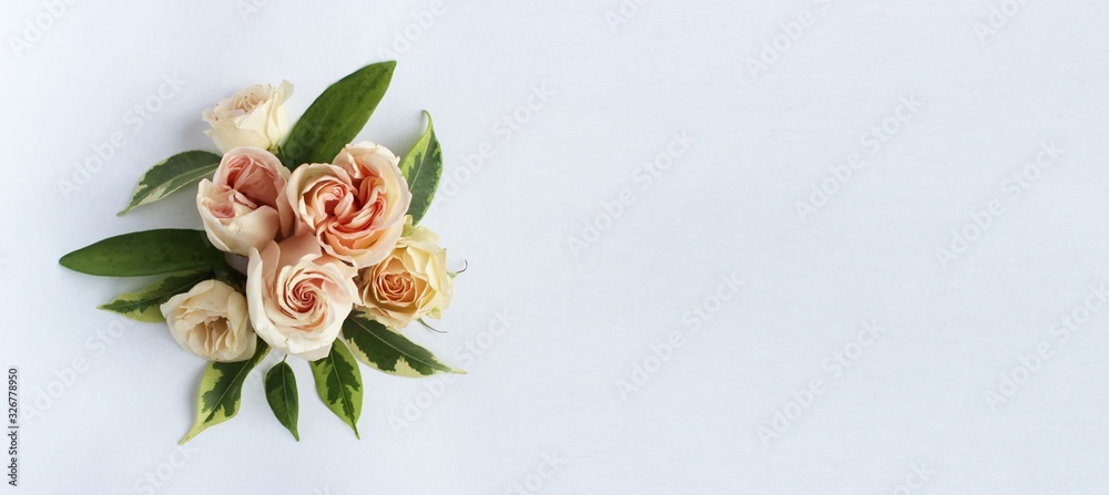 Fototapeta Cream roses on a light background. Delicate floral arrangement. Delicate pastel colors. Warm shade. Background for greetings, postcards.