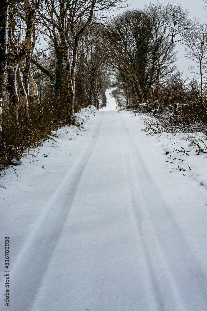 Fototapeta premium Tracks in the snow