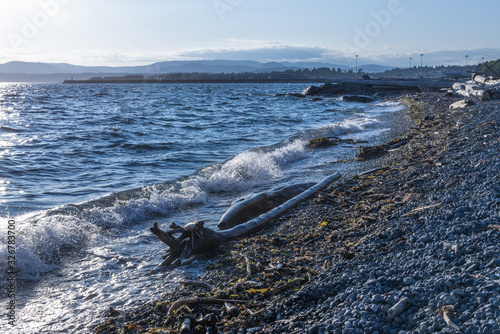 View of Shoreline in Beacon Hill Park to Ogden Point in Distance photo