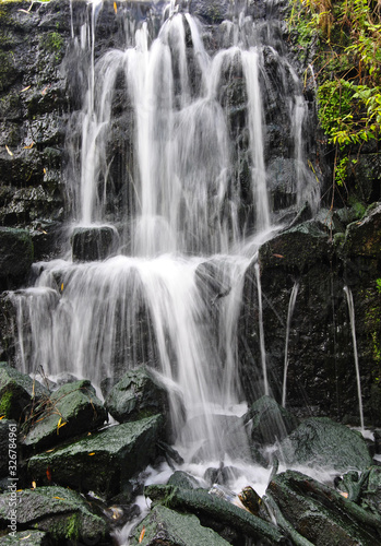 waterfall in the forest